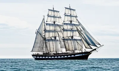 Illustration backs - Image 1