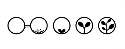 Illustration evolve - Image 1