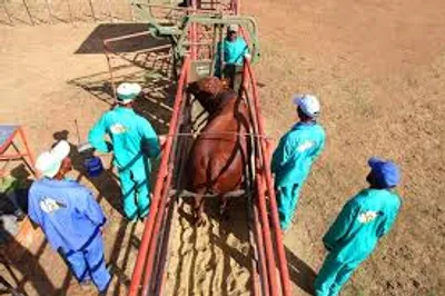 Illustration crush - Image 3