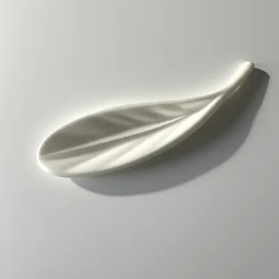 Illustration spatulate - Image 1