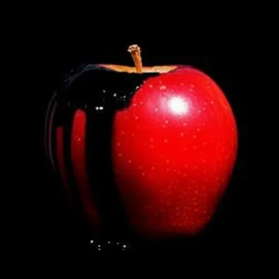 Illustration blackens