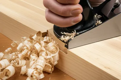 Illustration rebated - Image 1