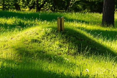 Illustration interred - Image 1