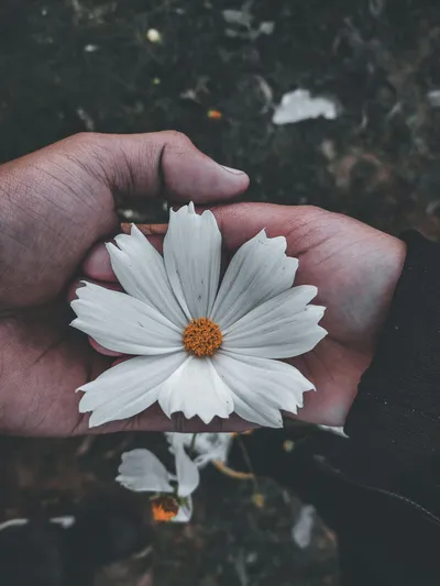 Illustration suchlike - Image 1