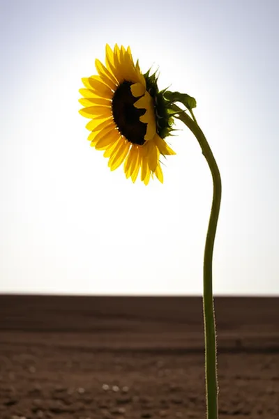 Illustration stretching - Image 1