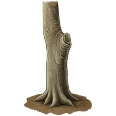 Illustration studs - Image 1