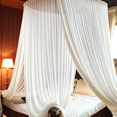 Illustration curtained - Image 1