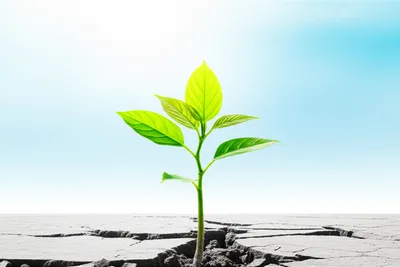 Illustration live - Image 1