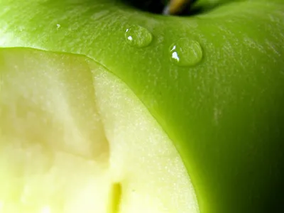 Illustration crisp - Image 1