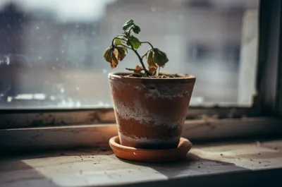 Illustration disregarded - Image 1