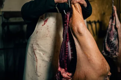 Illustration draw - Image 1