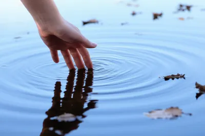 Illustration ruffling - Image 1