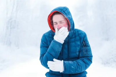 Illustration freeze - Image 1