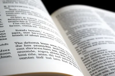 Illustration versos - Image 1