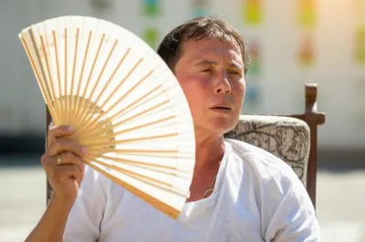 Illustration fans - Image 1