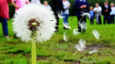 Illustration spreaders