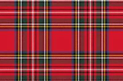 Illustration tartan - Image 2