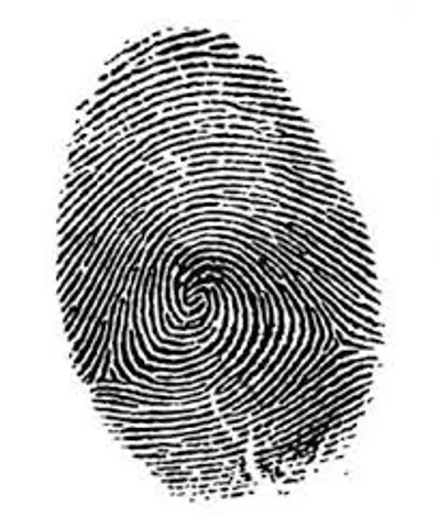 Hình ảnh minh họa fingerprint - Ảnh 2