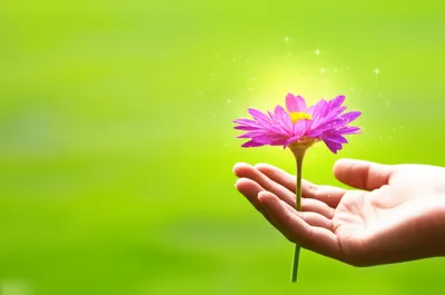 Illustration salver - Image 1