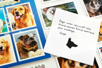 Illustration thematic - Image 1