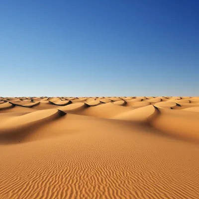 Illustration unvaried