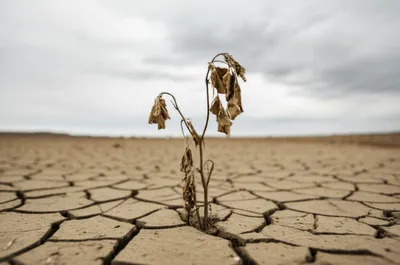 Illustration deprivation - Image 1