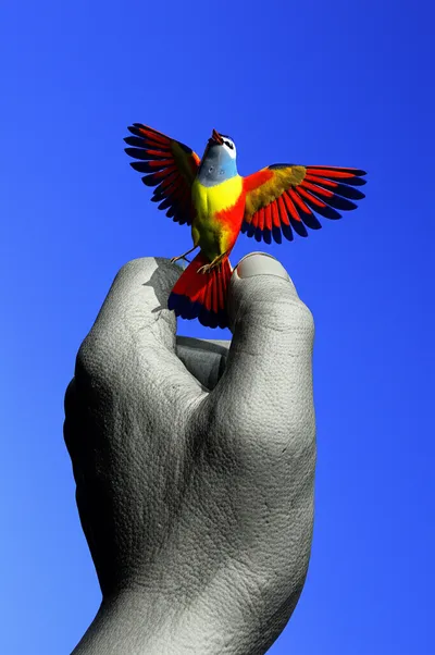 Illustration constrains