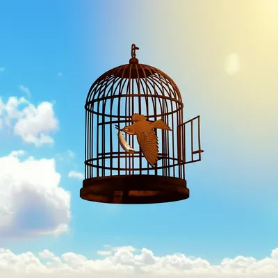 Illustration delivers - Image 1