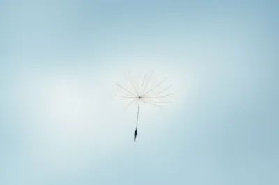 Illustration lightest - Image 1