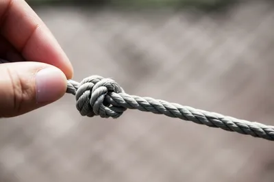 Illustration looses - Image 1