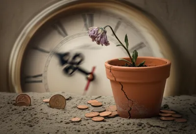 Illustration born - Image 1