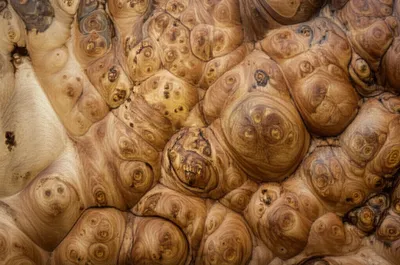 Illustration bur - Image 1