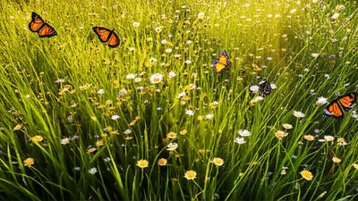 Illustration swishing - Image 1