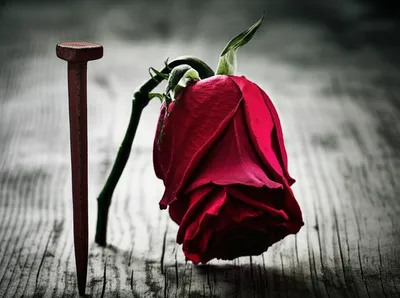 Illustration spikes - Image 1