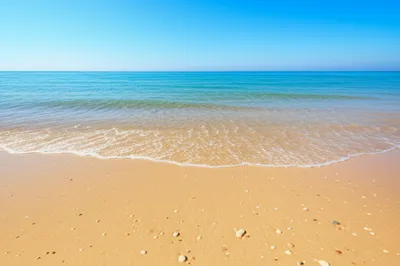 Illustration strands