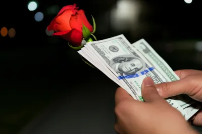 Illustration traps - Image 1