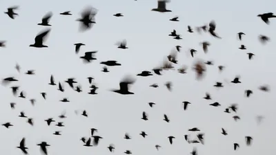 Illustration velocities - Image 1