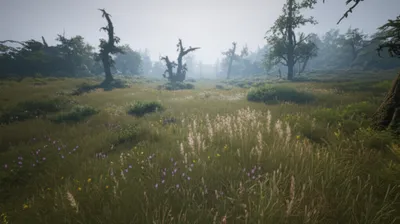 Illustration frith - Image 1