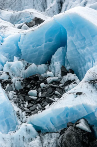 Illustration plucking - Image 1