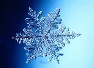 Illustration snowflake - Image 2
