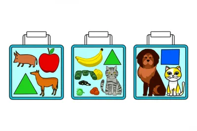 Illustration class - Image 1