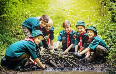 Illustration colonies - Image 1