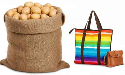 Illustration sack - Image 1