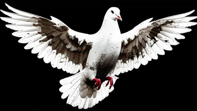 Illustration filed - Image 1