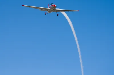 Illustration bunt - Image 1