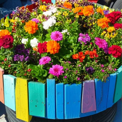 Illustration salvaged - Image 1