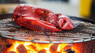 Illustration broils - Image 1