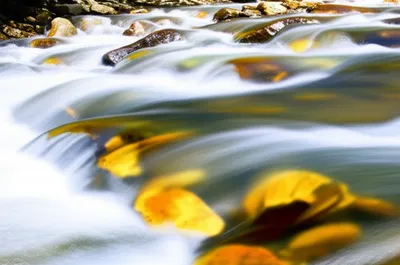 Illustration brawls - Image 1