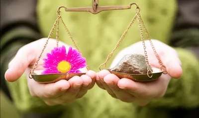 Illustration measured - Image 1