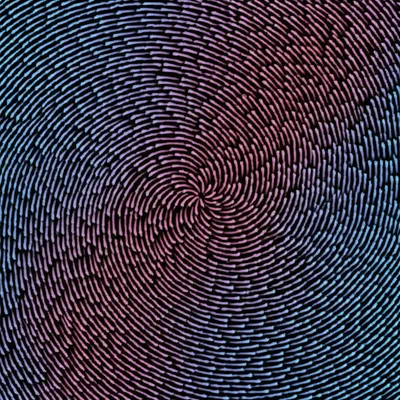 Illustration curl - Image 1